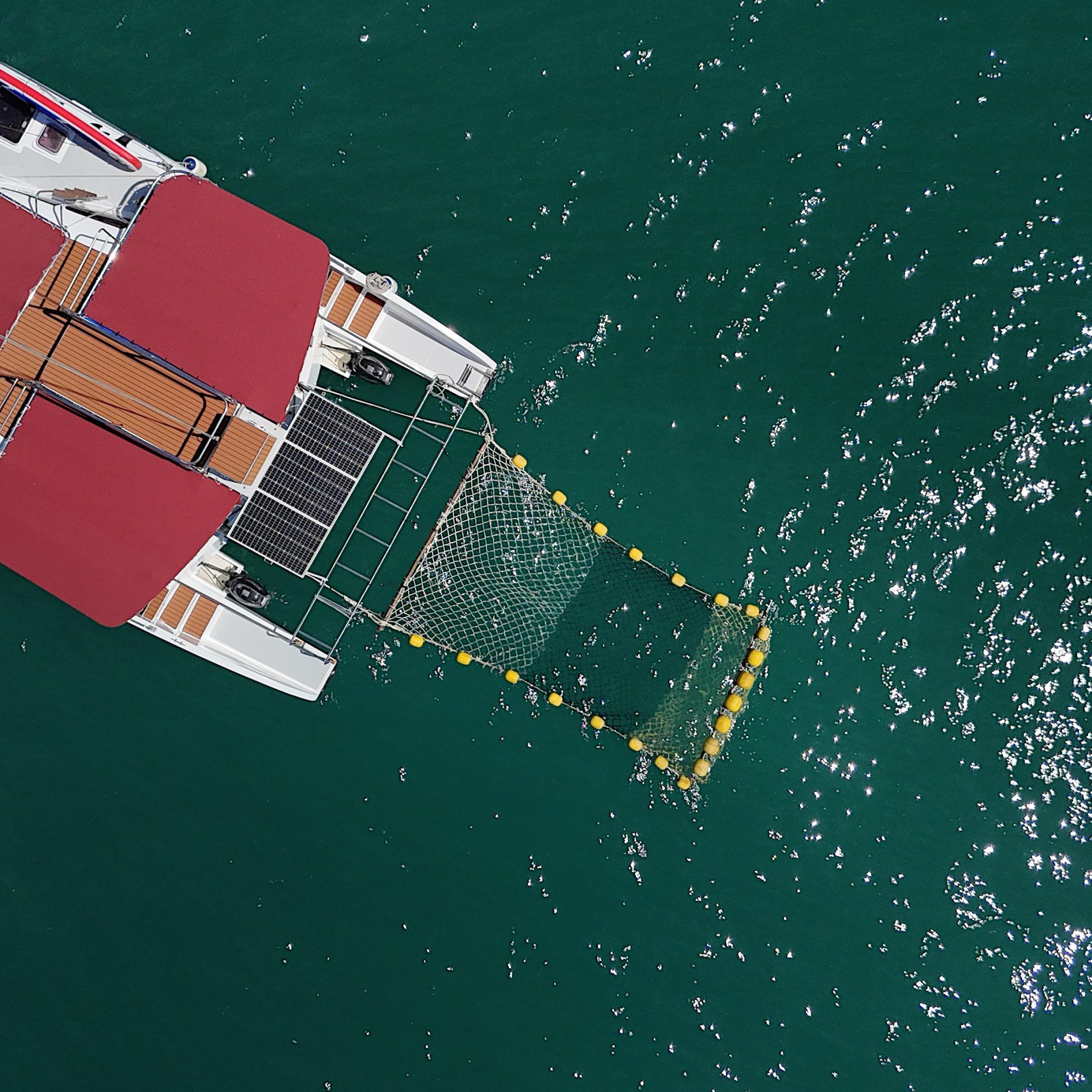 Masami 36ft Charter, photo 2 of 13