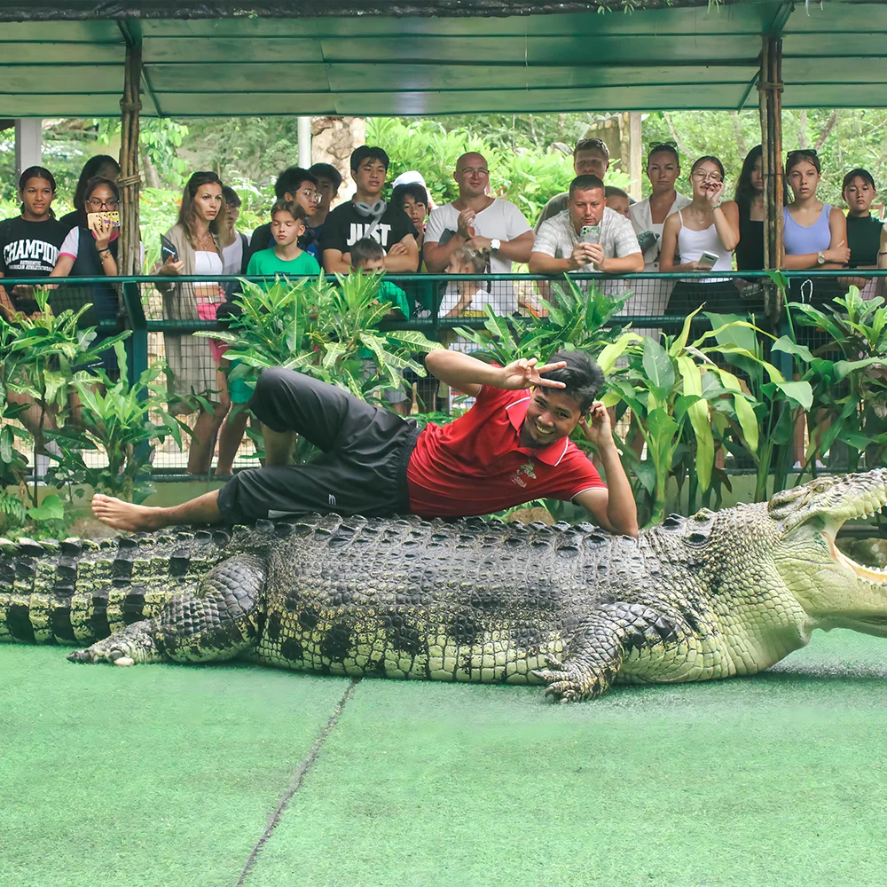 Crocodile Adventure Combo, photo 5 of 16