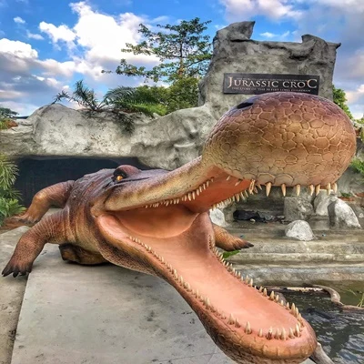 Crocodile Adventure Combo: photo 2 of 2