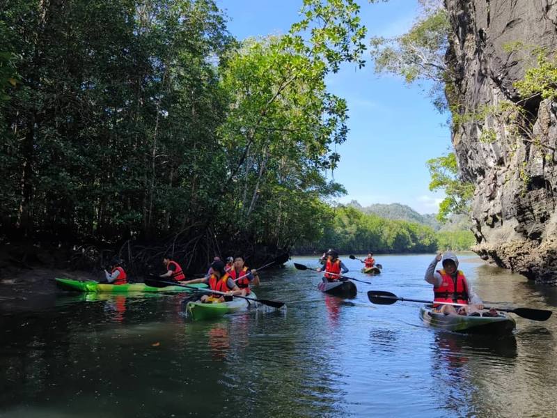Kilim Geoforest Mangrove Kayaking 4hr (min 2pax): photo 1 of 2