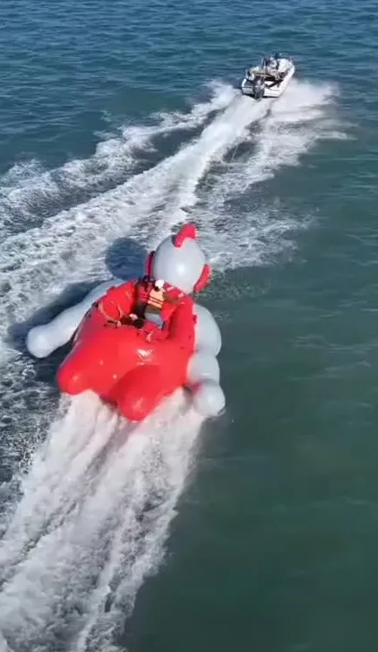 Cartoon Ride