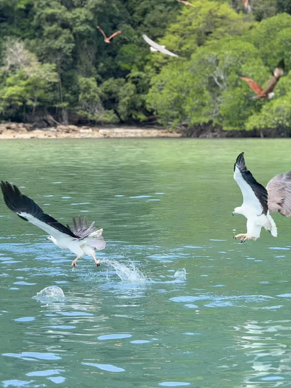 5in1 Island Hopping (Sharing), photo 5 of 14