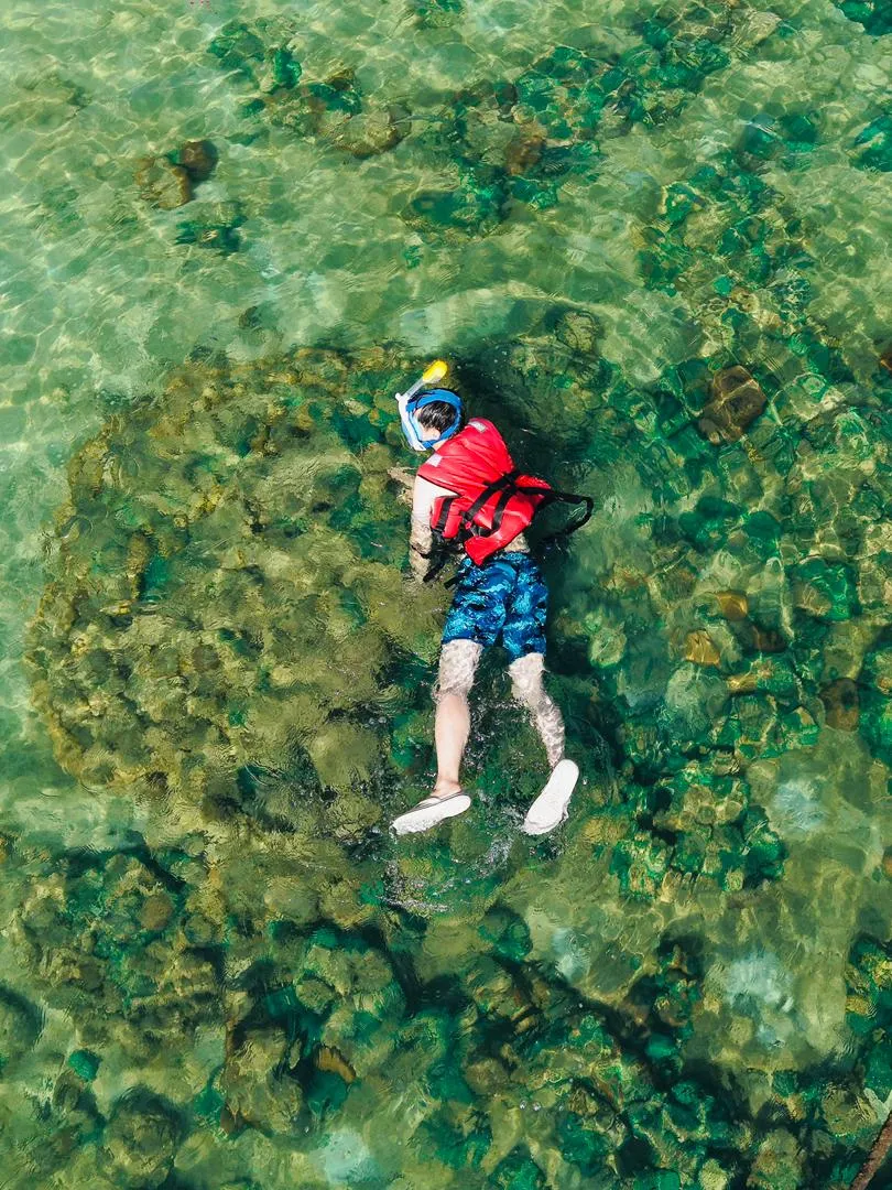 5in1 Island Hopping (Sharing): photo 1 of 2