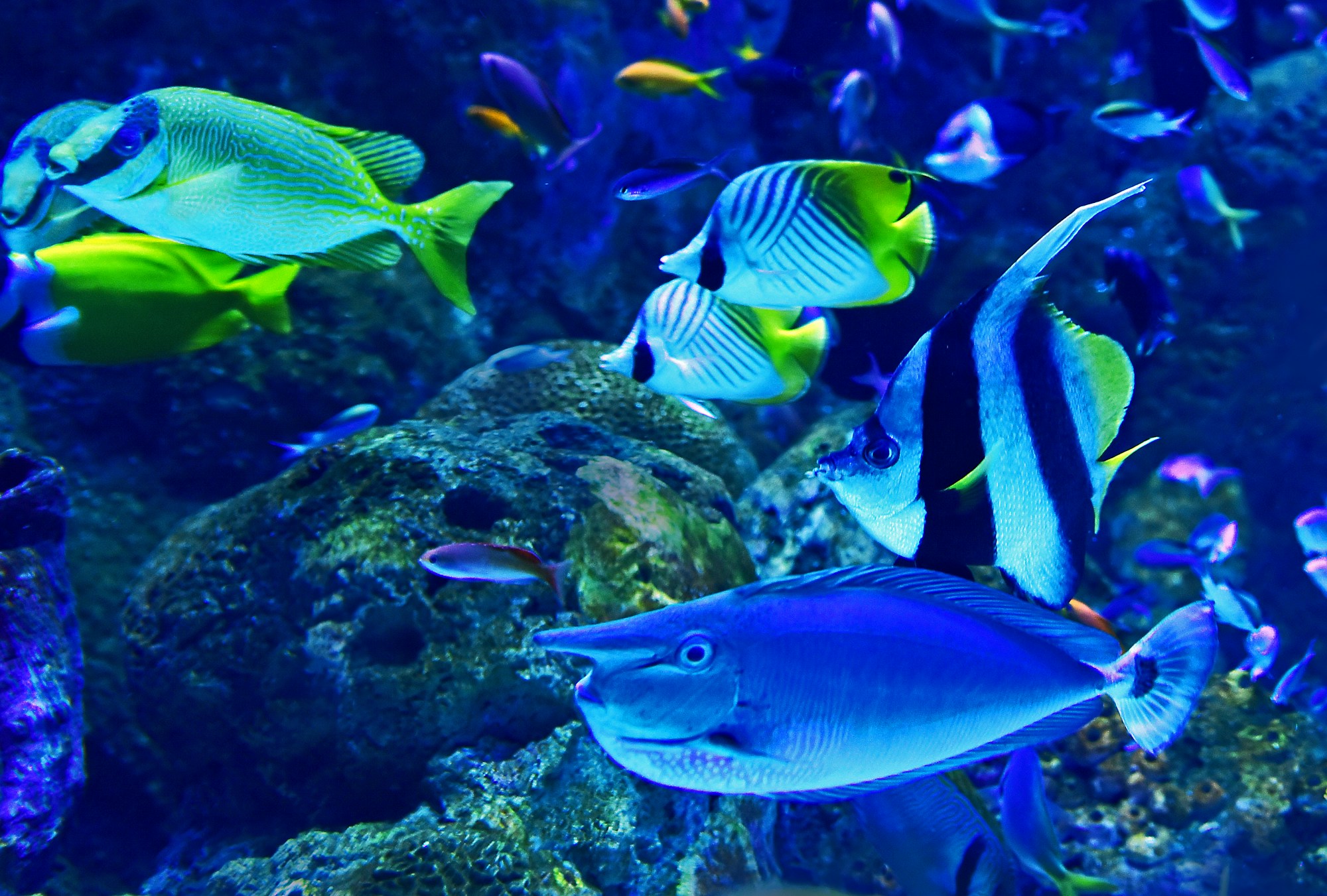 Underwater World Langkawi, photo 4 of 14