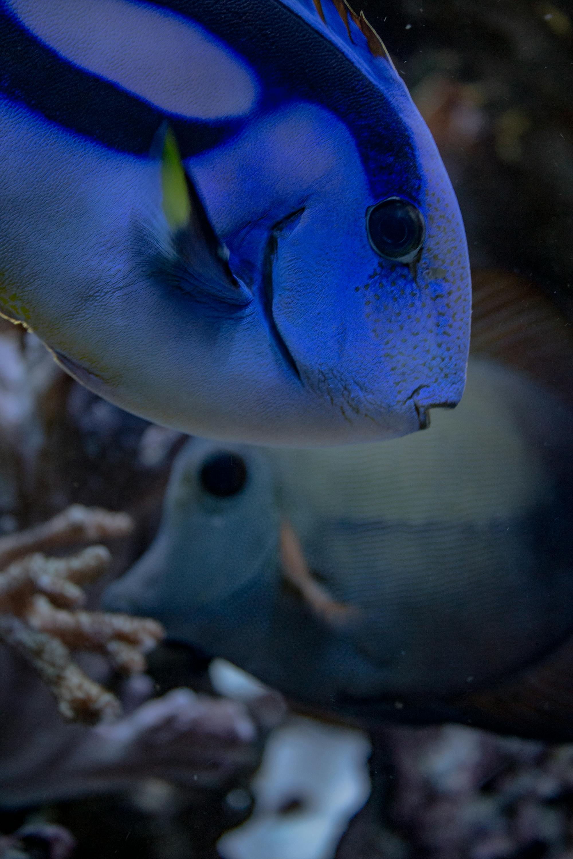 Underwater World Langkawi: photo 1 of 2