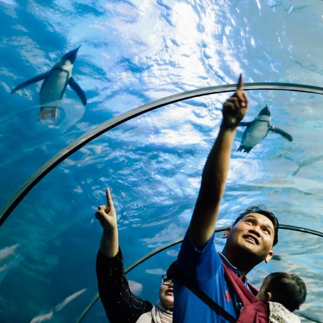 Underwater World Langkawi: photo 2 of 2