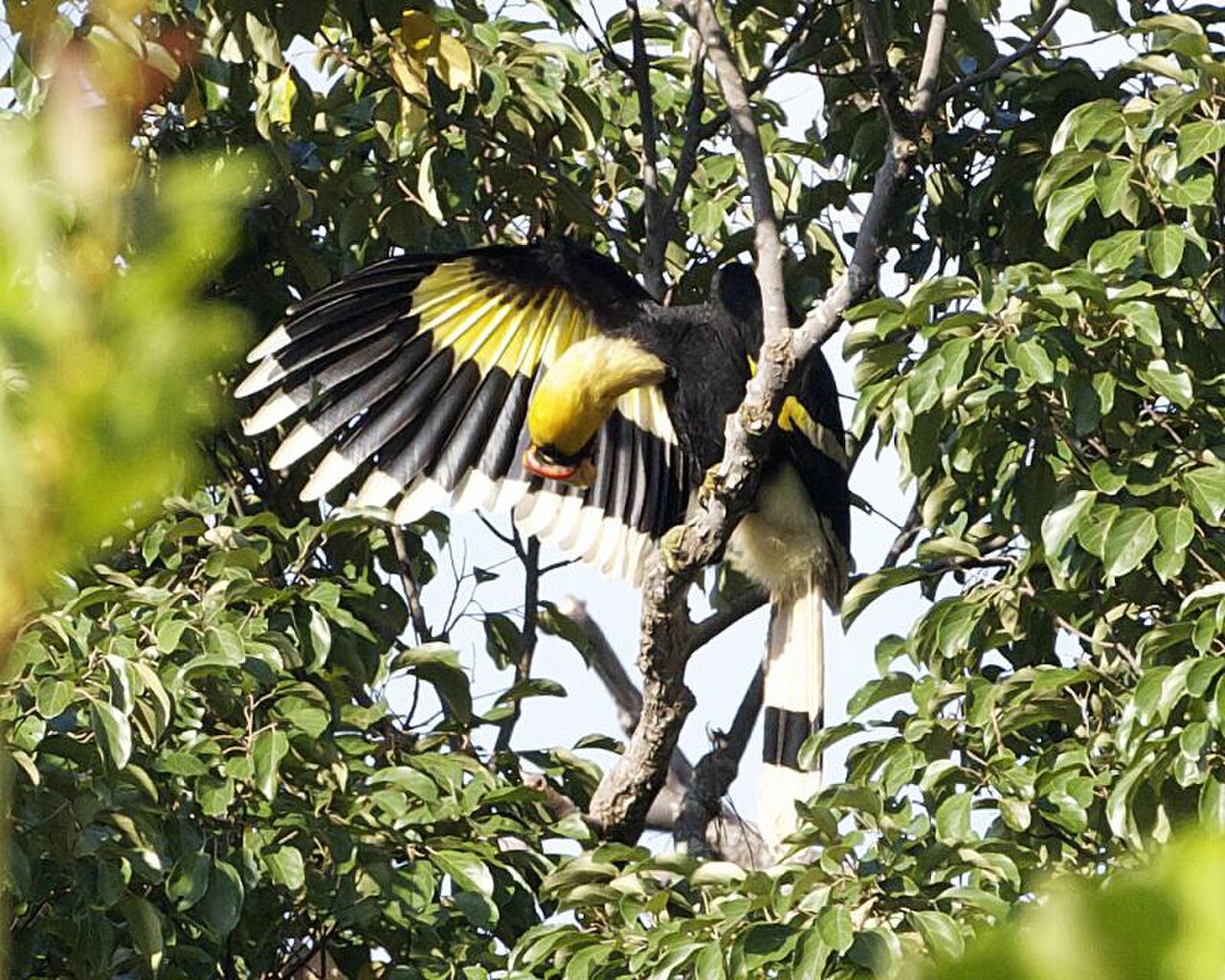 Langkawi Wildlife Park, photo 2 of 17