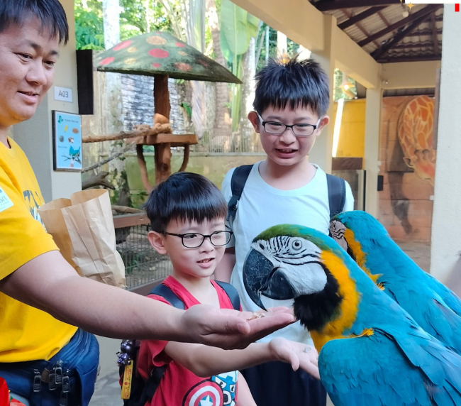 Langkawi Wildlife Park, photo 5 of 17