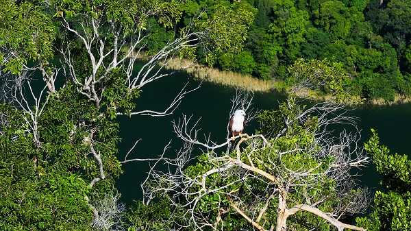 5in1 Island Hopping (Sharing), photo 2 of 14