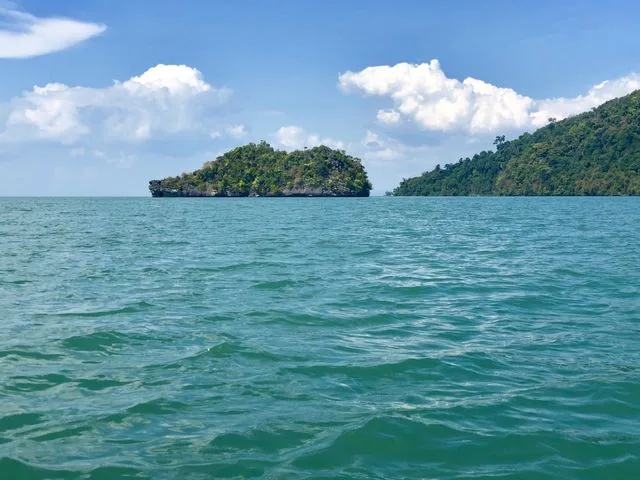 Tanjung Rhu Mangrove Sharing Premium, photo 4 of 14