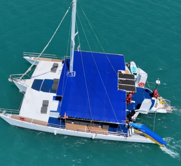 Erica Catamaran (30-65), photo 4 of 5