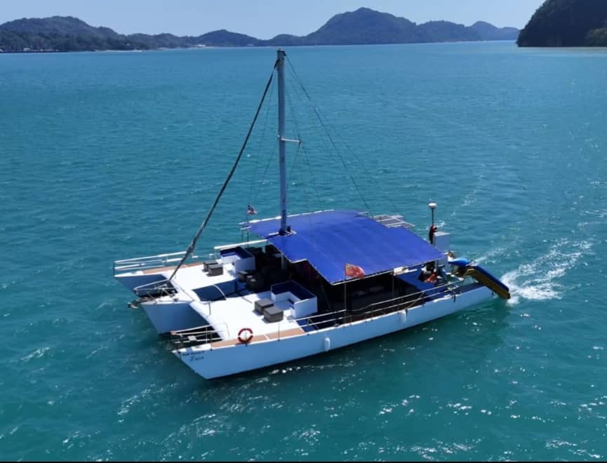 Erica Catamaran (30-65), photo 3 of 5