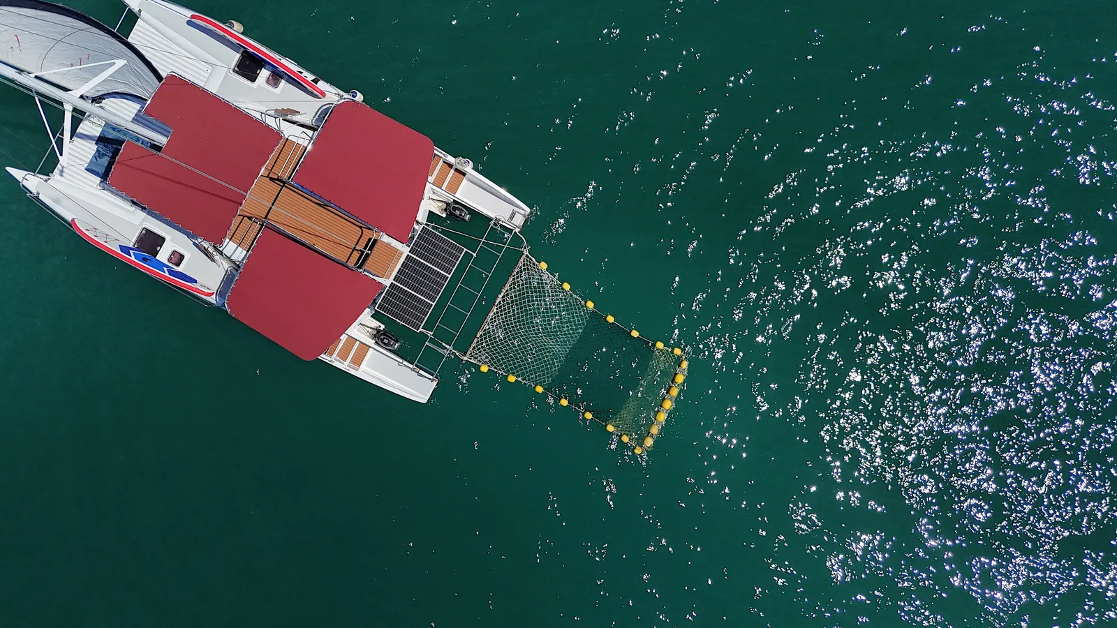 Masami 36ft Charter, photo 12 of 13