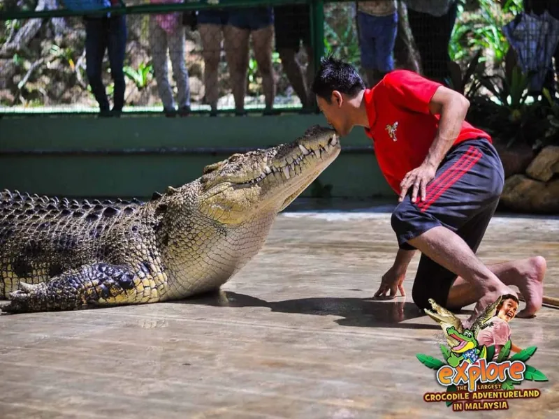 Crocodile Adventure Combo, photo 2 of 16